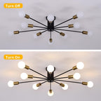 Farmhouse Black Chandelier — 10-Light - View 4