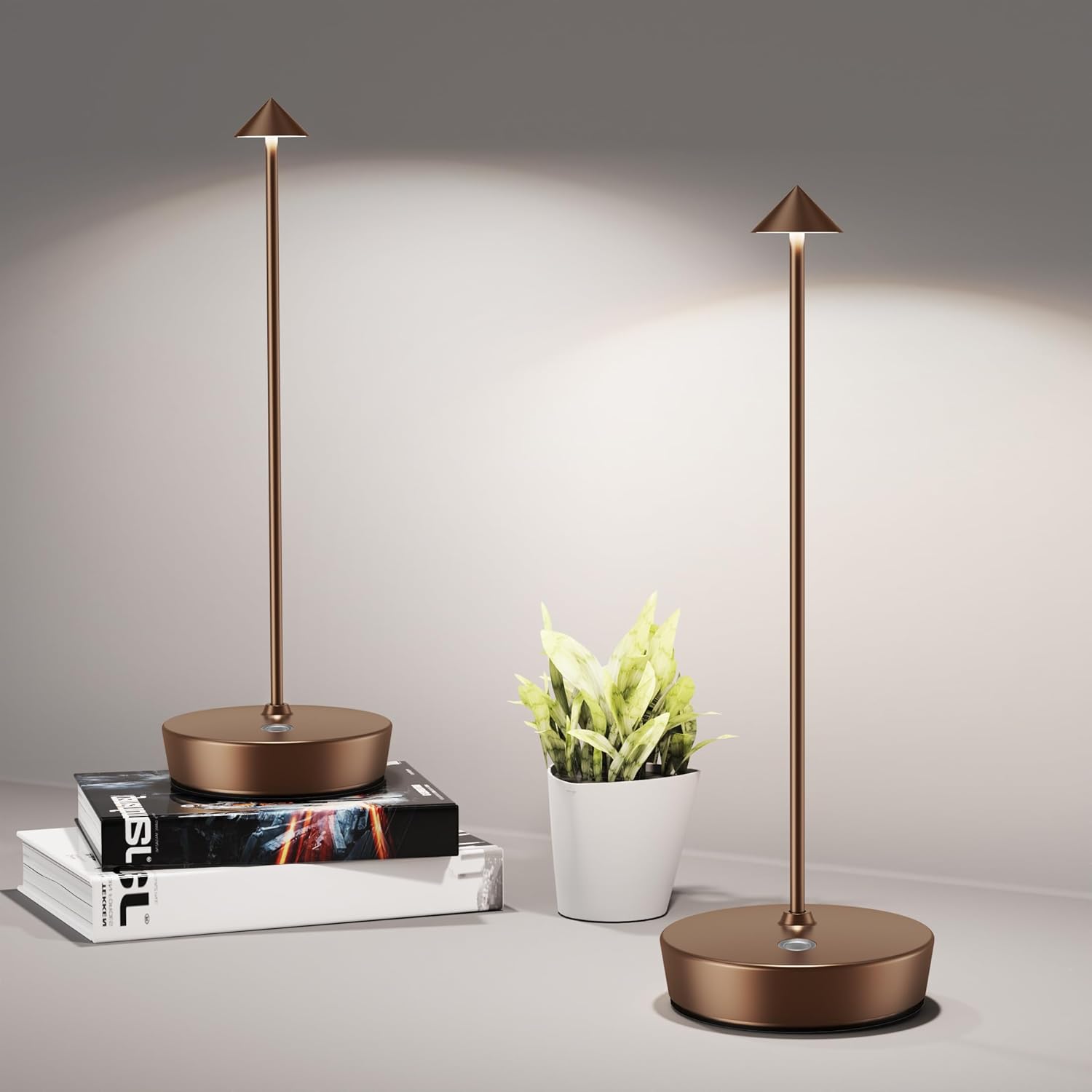 Cordless Luxe Black Desk Lamp — 2Pack Moka