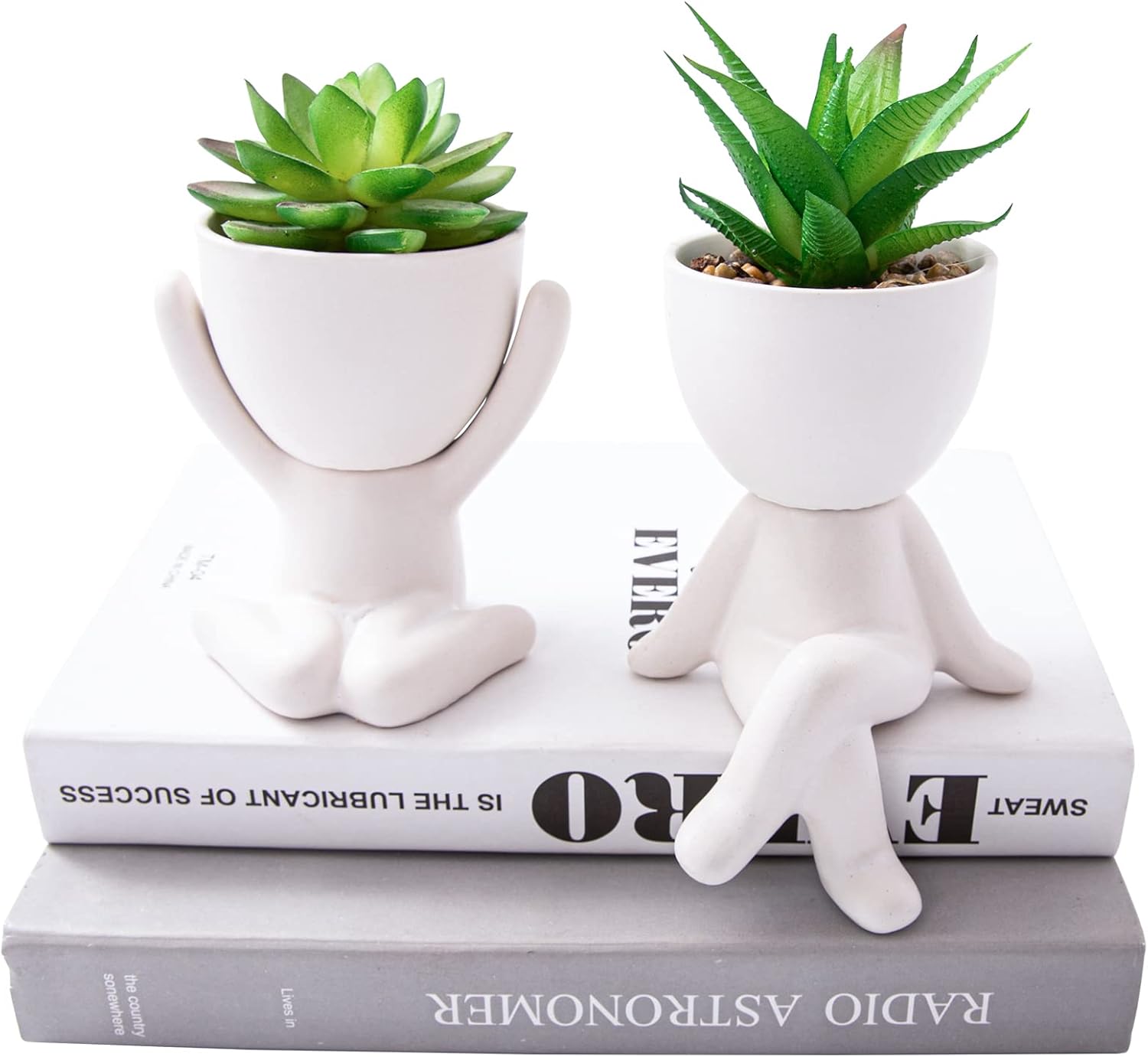 Black Faux Plant — A, Morden White Figurine (1 Pair)