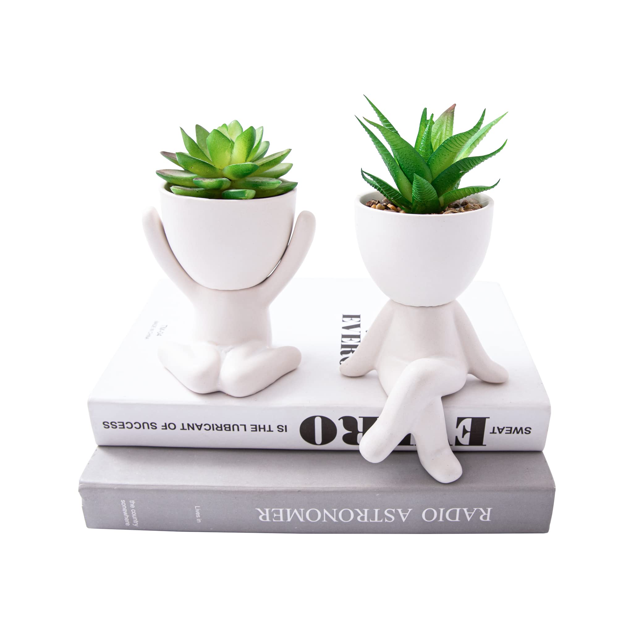 Black Faux Plant