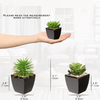 Modern Black Faux Succulent - View 5