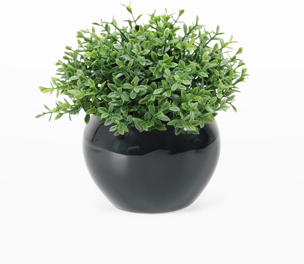 Black Faux Plant — Black1