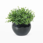 Black Faux Plant