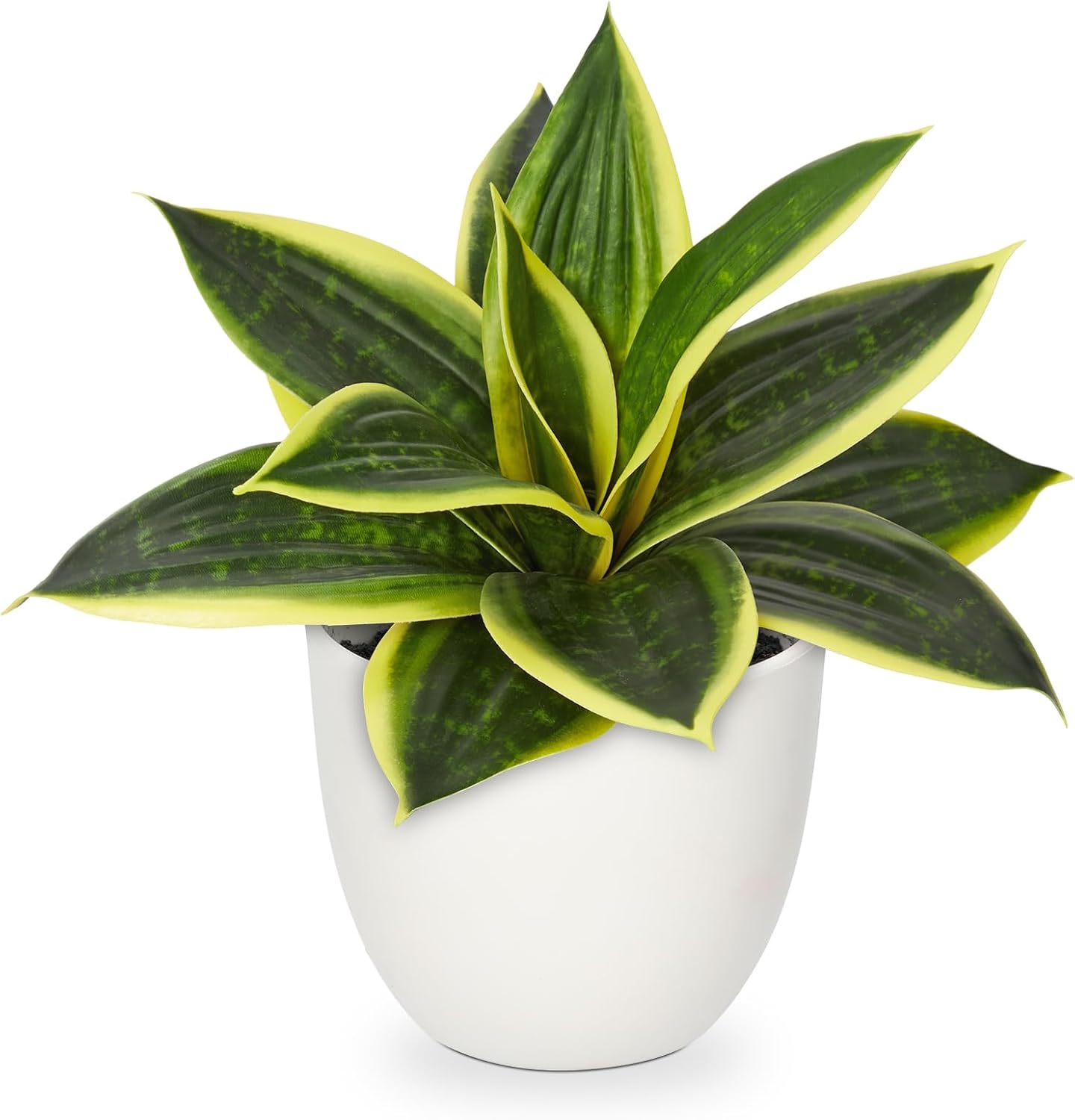 Modern Black Artificial Plant — 9" — Green #2