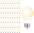 Dimmable White LED Bulb — Soft White