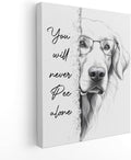 Framed Wall Decor — 14" — PED5