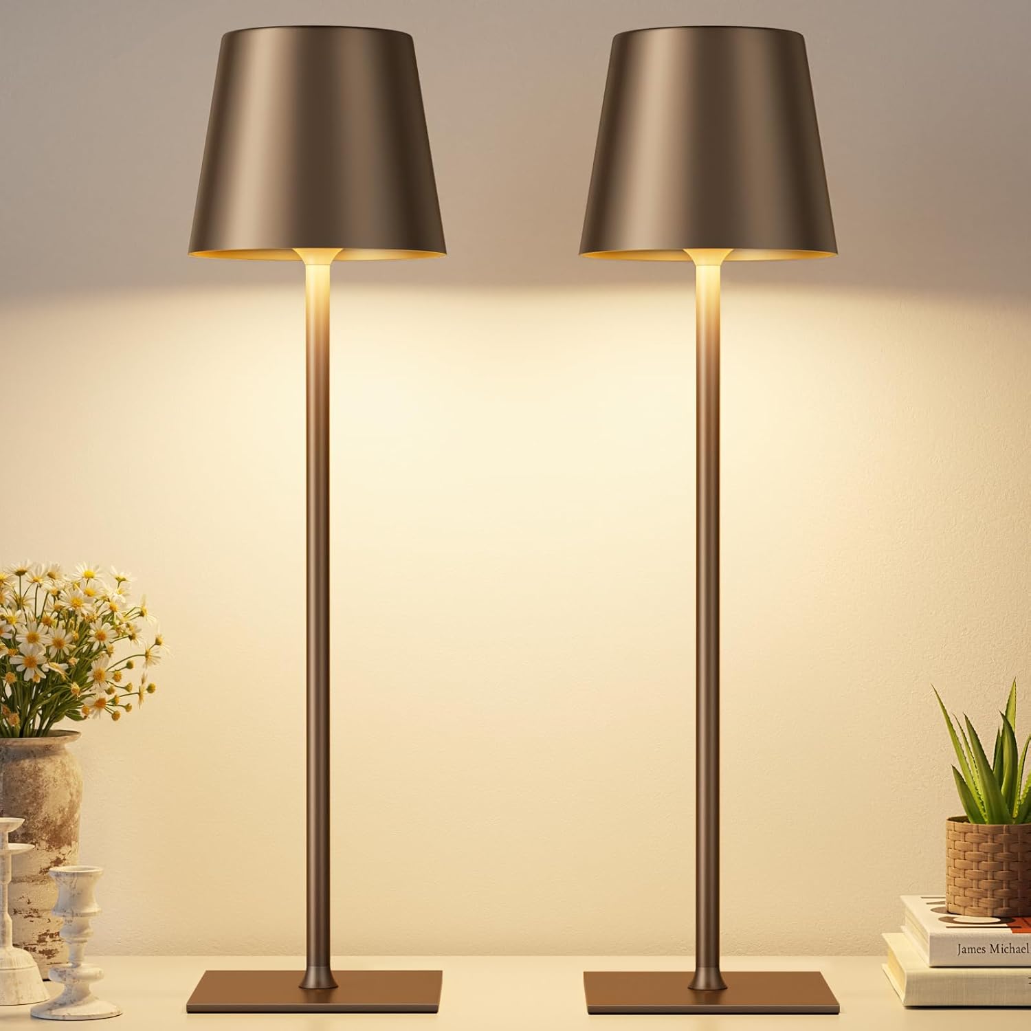 Cordless Black Desk Lamp — Brown