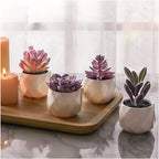 Ceramic Faux Succulent - View 9