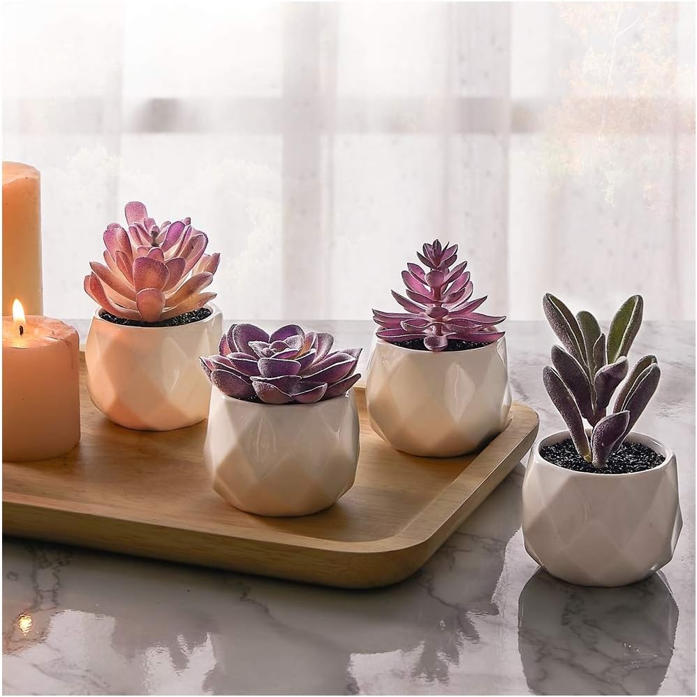 Ceramic Faux Succulent - View 9