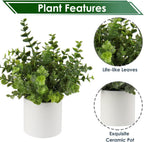 Farmhouse Faux Plant — Set of 2 - View 3