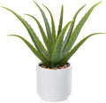Black Faux Succulent — 13" — White-13"