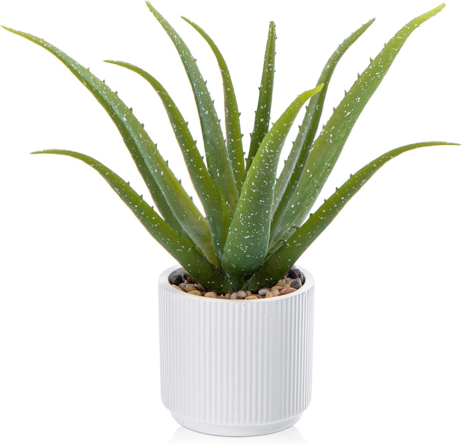 Black Faux Succulent — 13" — White-13"