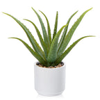 Black Faux Succulent — 13"