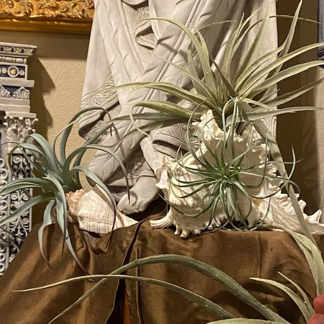 Artificial Plant - View 5