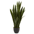 Artificial Plant