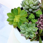 Wood Faux Succulent - View 4