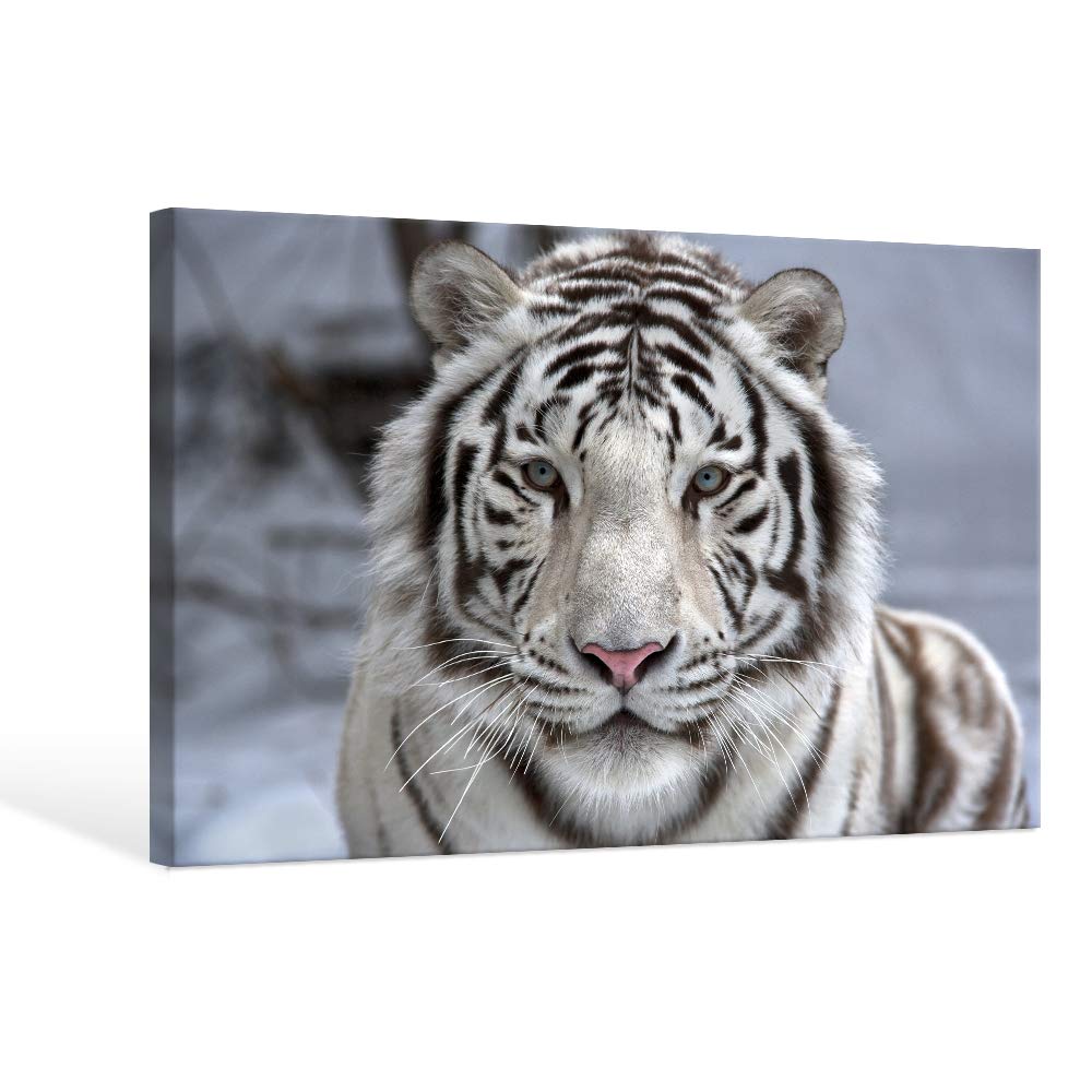 Black Canvas Wall Art — 36"