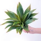 Green Faux Succulent — 5"