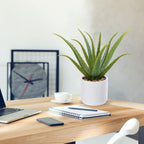 Black Faux Succulent — 13" - View 3