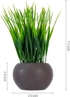 Round Modern Black Artificial Plant — 7" - View 5