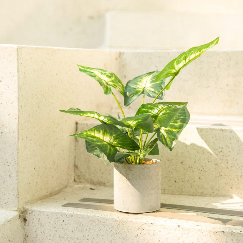Farmhouse Faux Plant — 16" - View 4