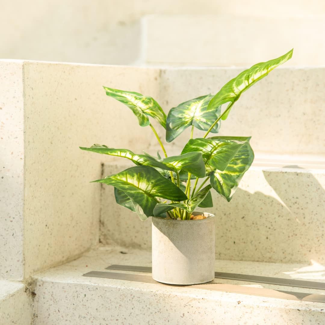 Farmhouse Faux Plant — 16" - View 4