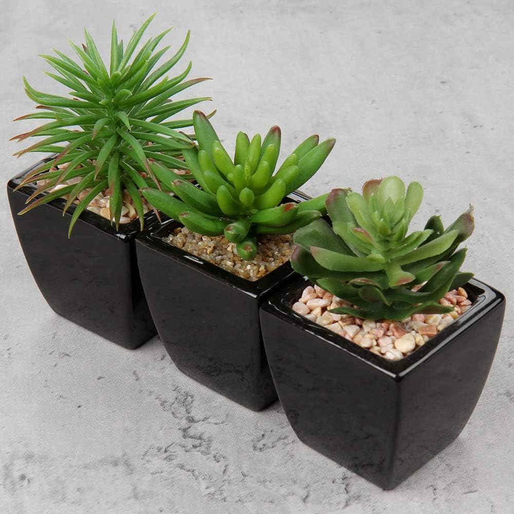 Modern Black Faux Succulent - View 4