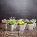 Gold Faux Succulent - View 4
