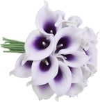 Black Artificial Plant — Purple Stamen