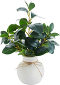 Handwoven Boho Green Artificial Plant — 17.7" — Ficus Plant