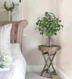 Farmhouse Green Artificial Plant — 24" - View 4