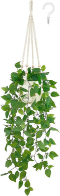 Boho Black Artificial Plant — 1