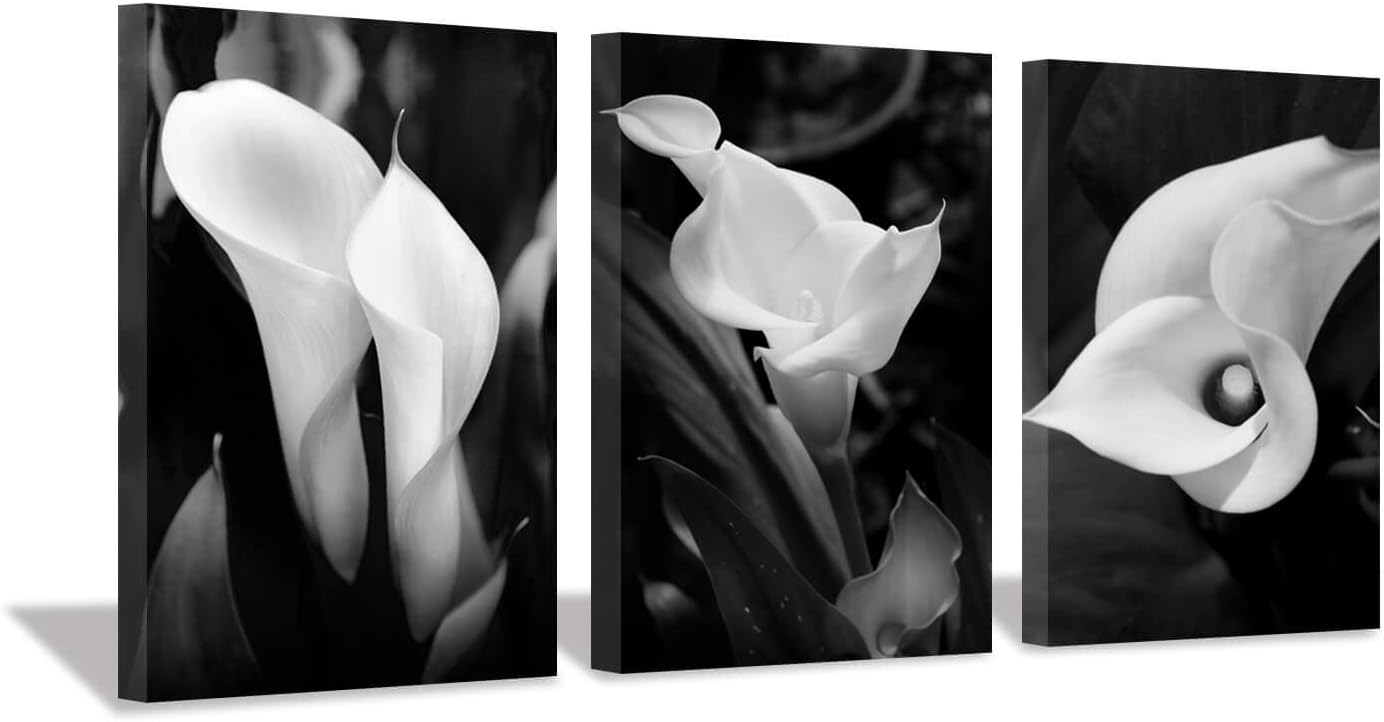 Black Wall Art — 16" — Calla Lily