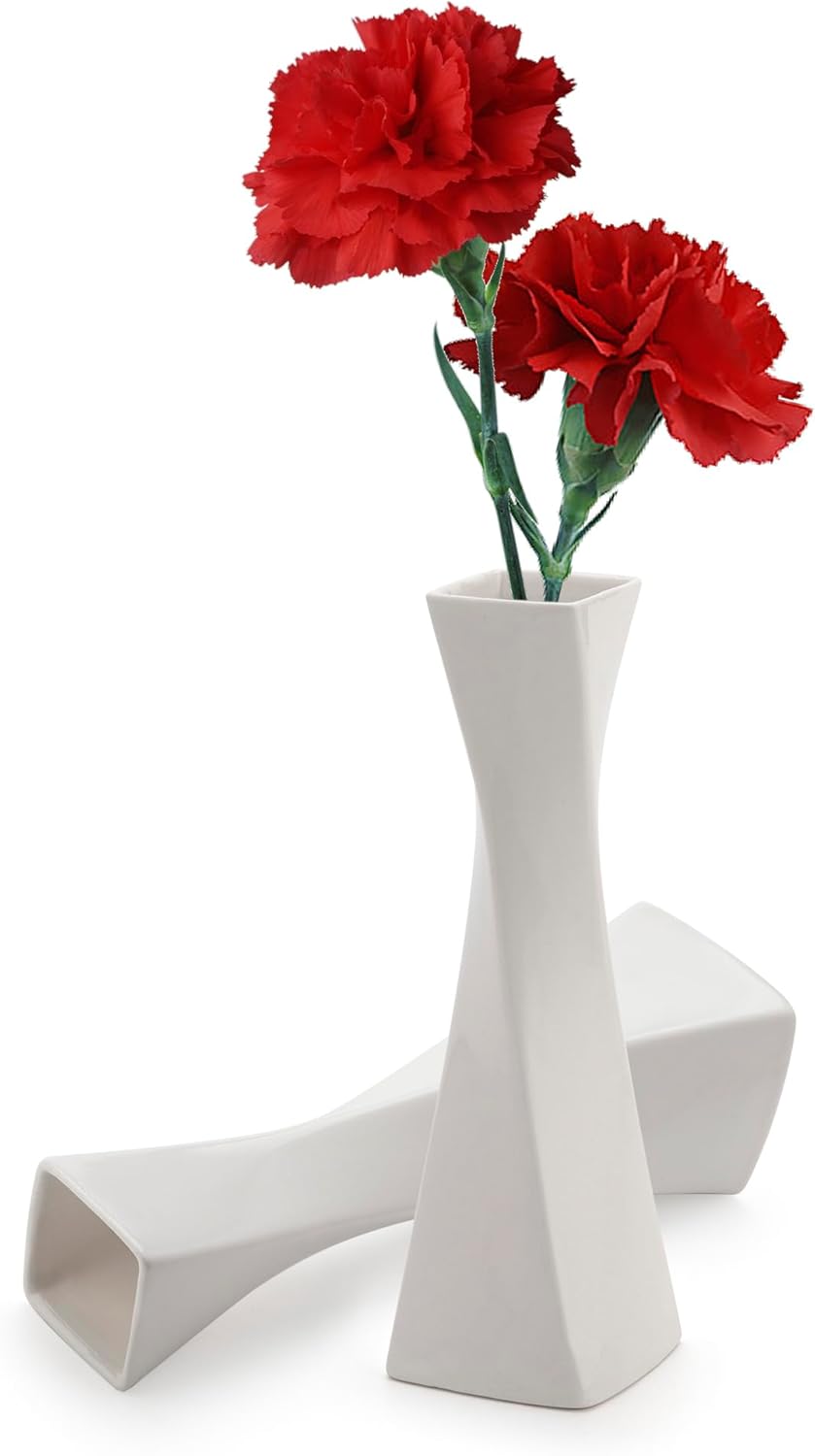 Farmhouse White Decorative Vase — 2 Pack（white）