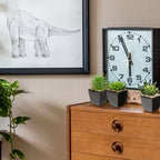Modern Black Faux Succulent - View 6