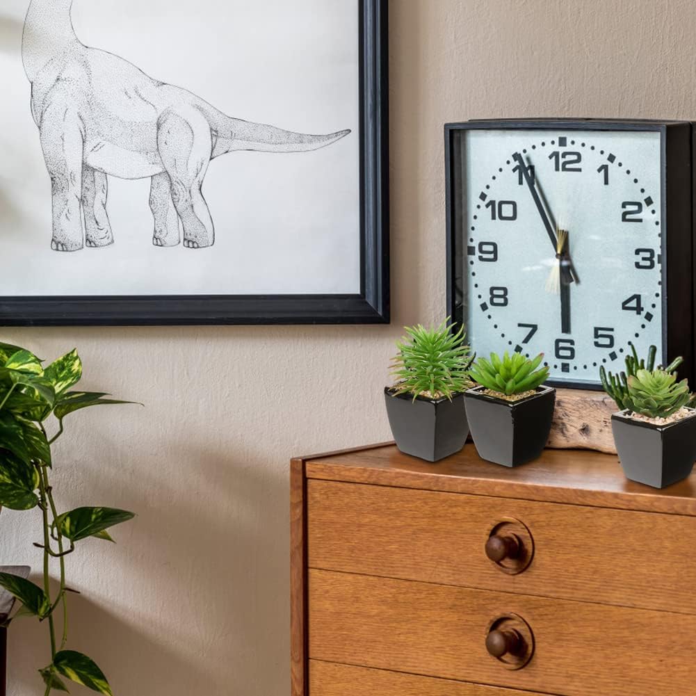 Modern Black Faux Succulent - View 6