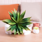 Green Faux Succulent — 5" - View 3