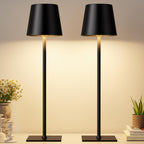 Cordless Black Desk Lamp