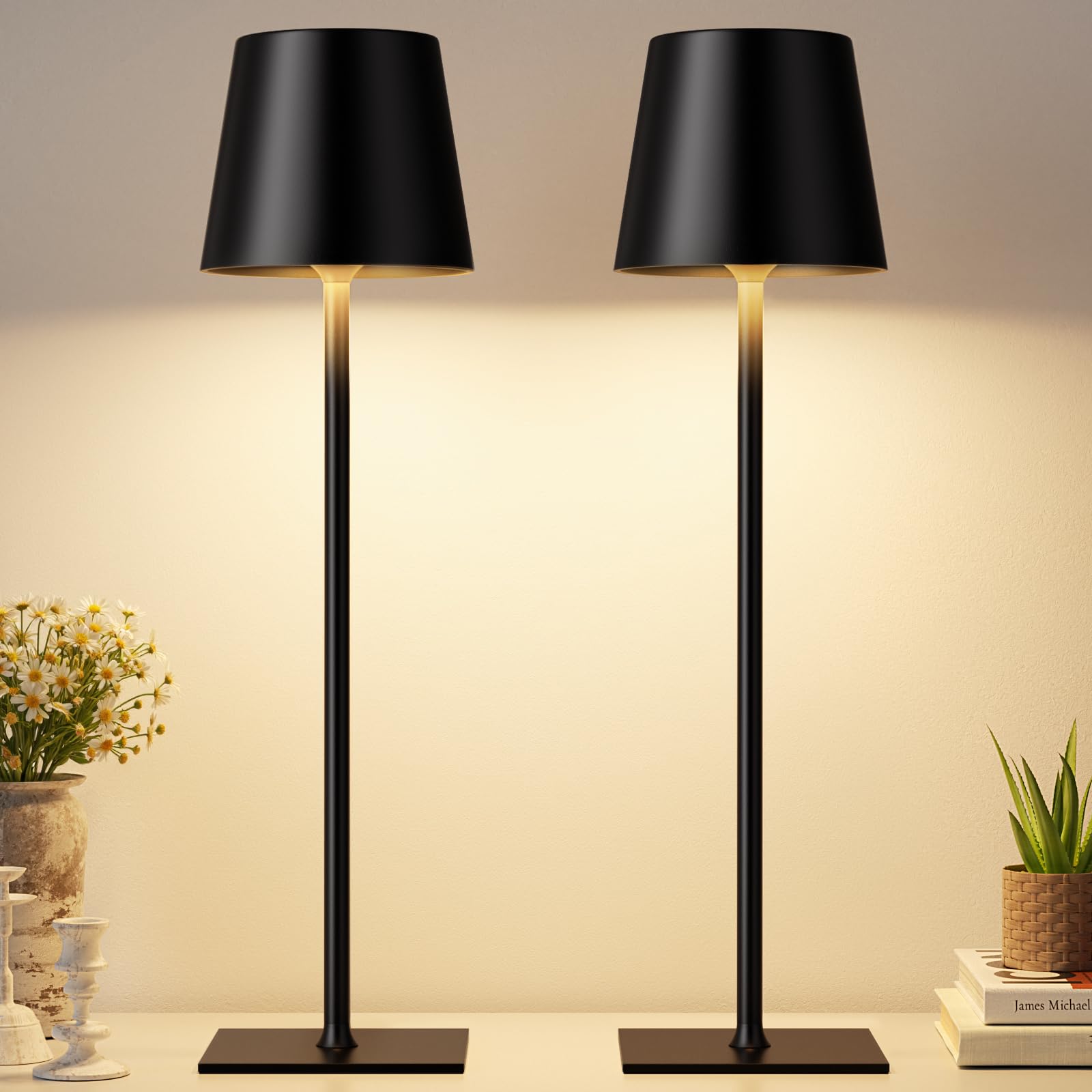 Cordless Black Desk Lamp
