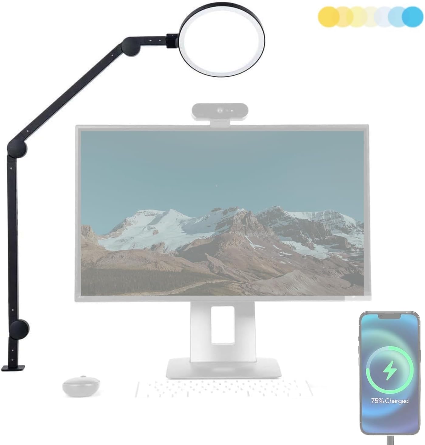 Dimmable Metal Desk Lamp — Black - Single