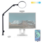 Dimmable Metal Desk Lamp