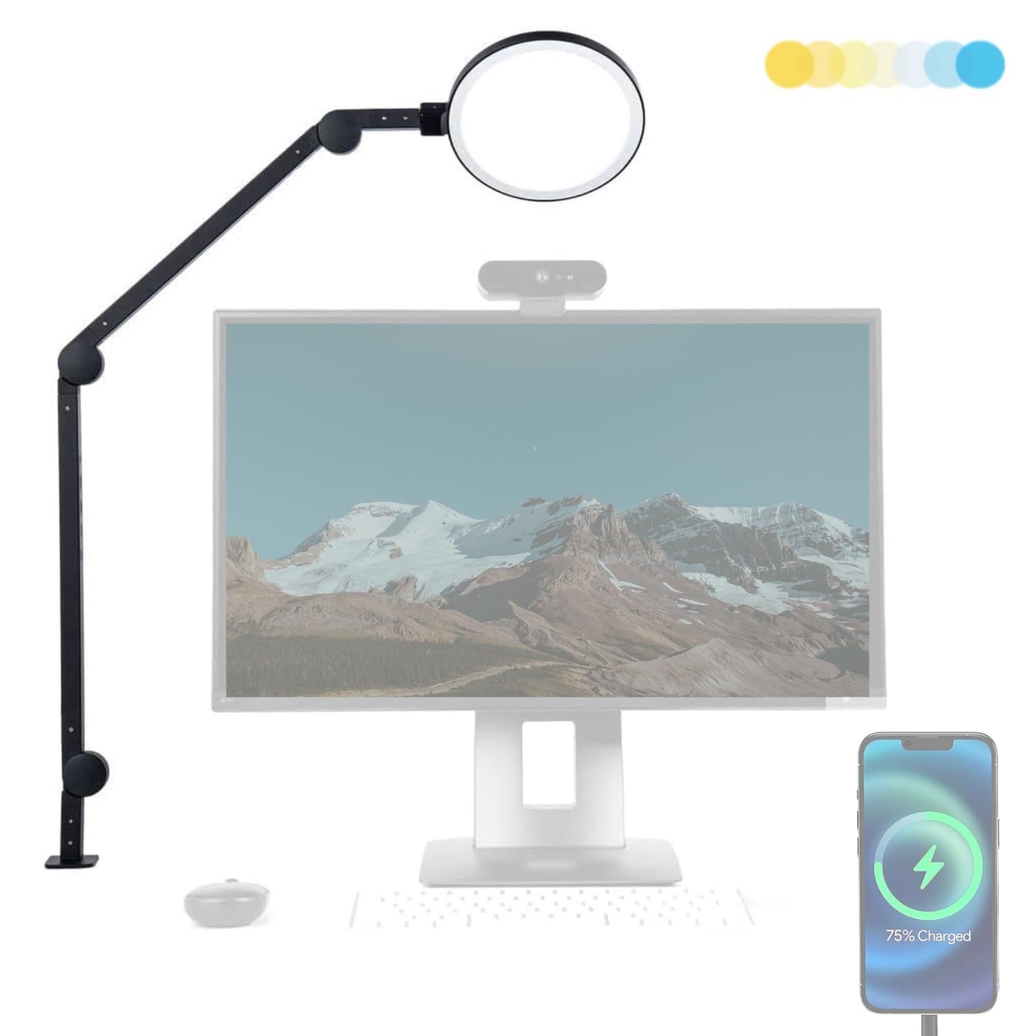Dimmable Metal Desk Lamp