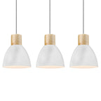 Modern Black Pendant Light
