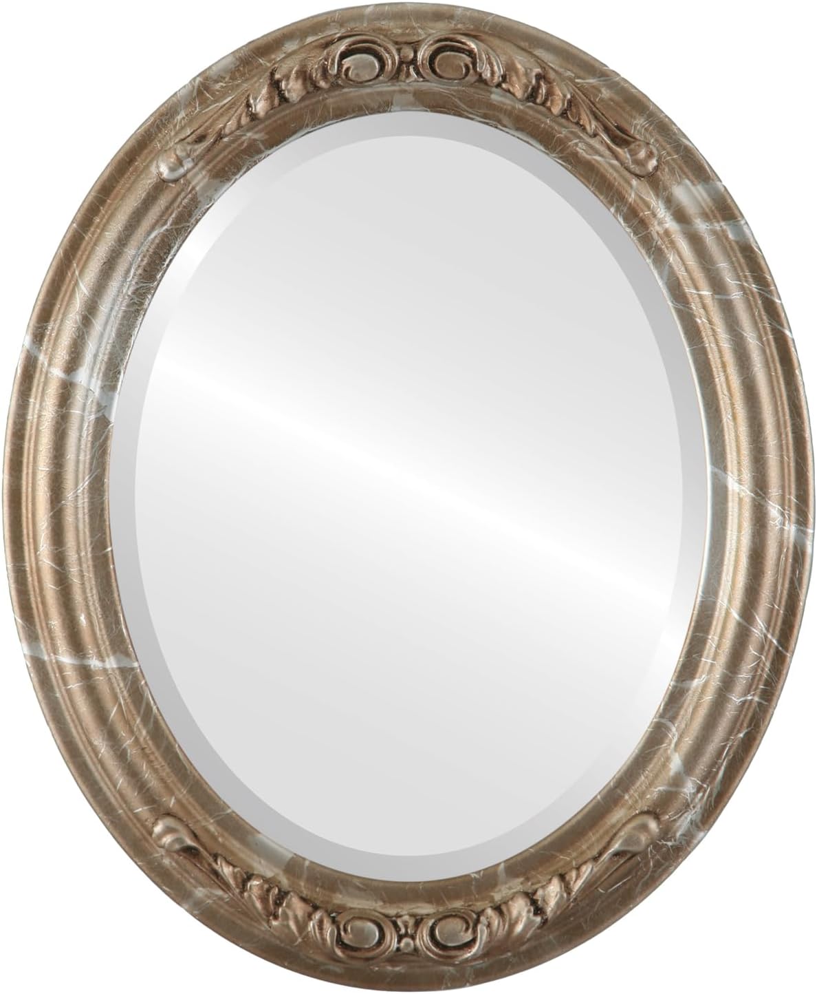 Beveled Luxe Beige Wall Mirror — 24" — Champagne Silver