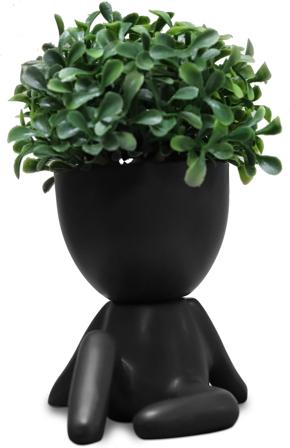 Beige Faux Succulent — Set of 1 — Black-e