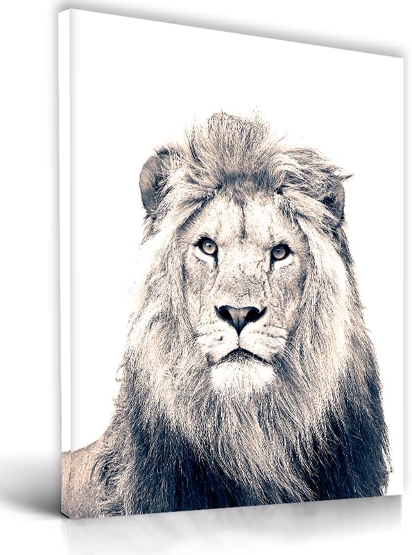 Framed Black Canvas Wall Art — 16" — Black and White Lion
