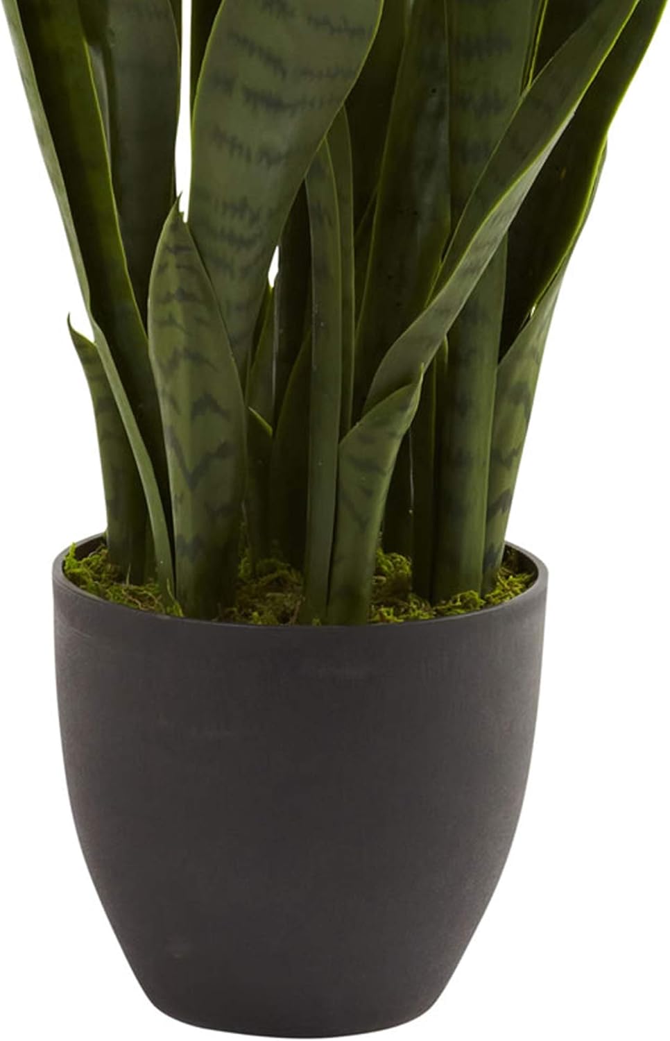 Artificial Plant - View 6