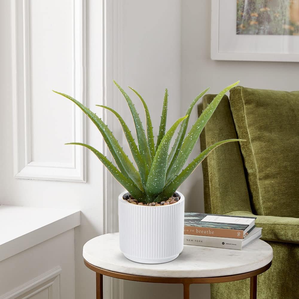 Black Faux Succulent — 13" - View 5