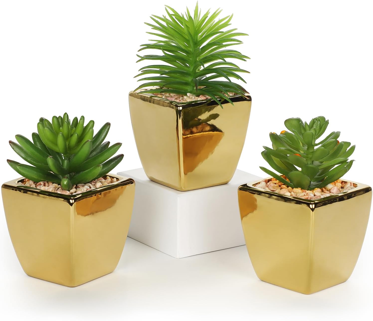Modern Black Faux Succulent — 3pack - Gold Ceramic
