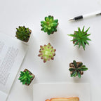 Ceramic Artificial Plant — Set of 6 - View 9